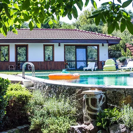 стальовата къща - Stalyovata House וילה