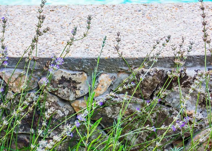 Villa стальовата къща - Stalyovata House